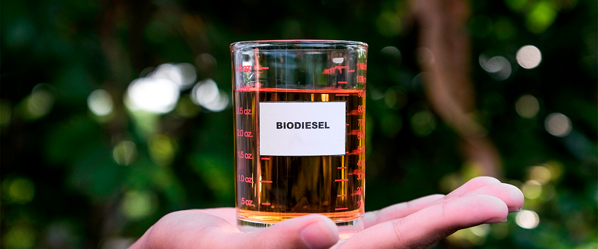 pessoa segurando instrumento químico com biodiesel